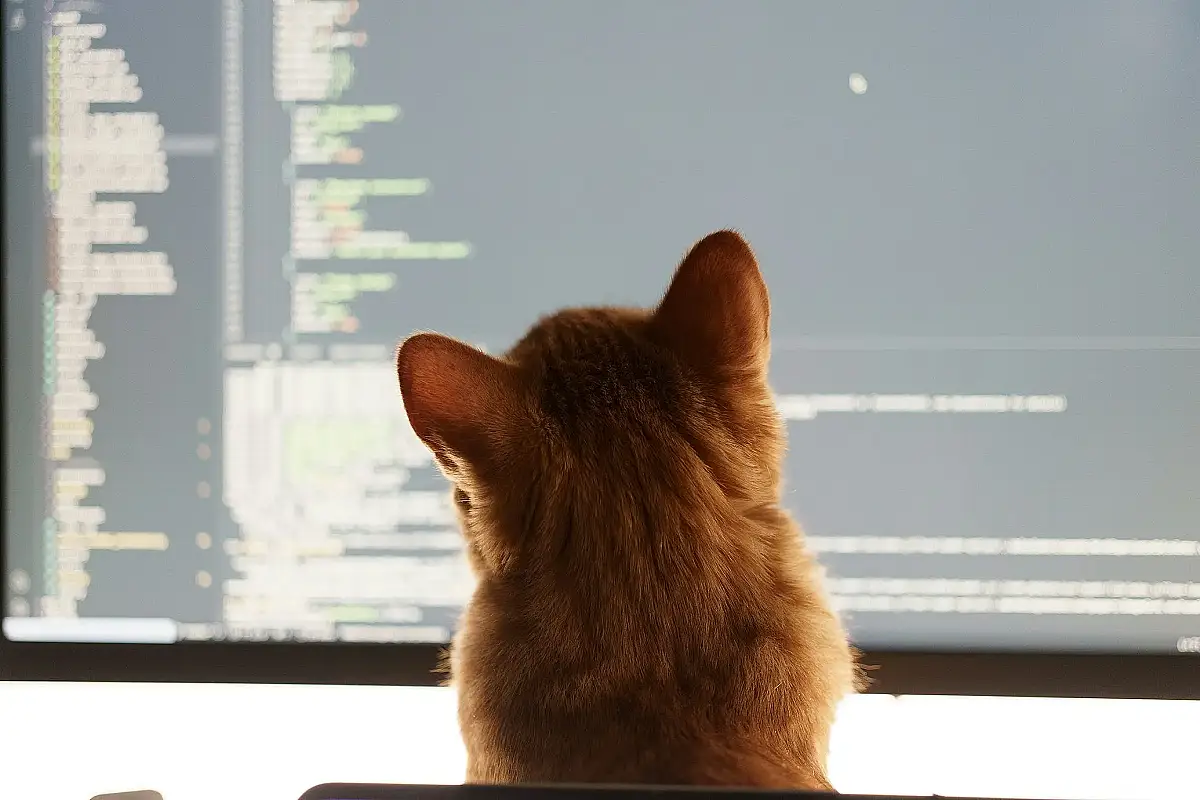 Code Review: Effective Review Techniques