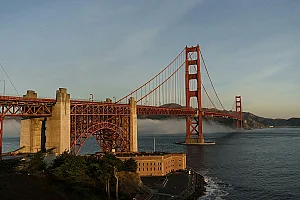 Networking and Career Growth in Silicon Valley
